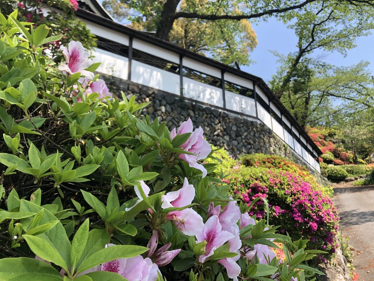 海禅寺