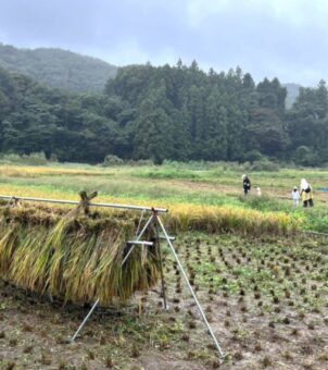「おそき」は、おとなもこどもものびのび自然と暮らせるまち