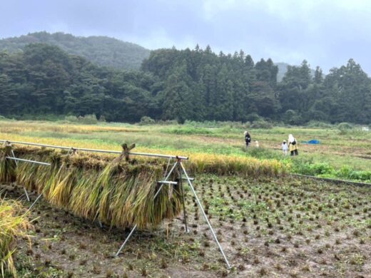 「おそき」は、おとなもこどもものびのび自然と暮らせるまち