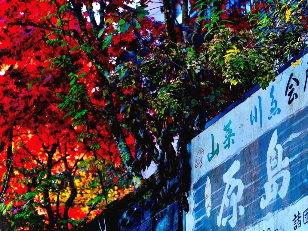 青梅 はらしま荘 看板