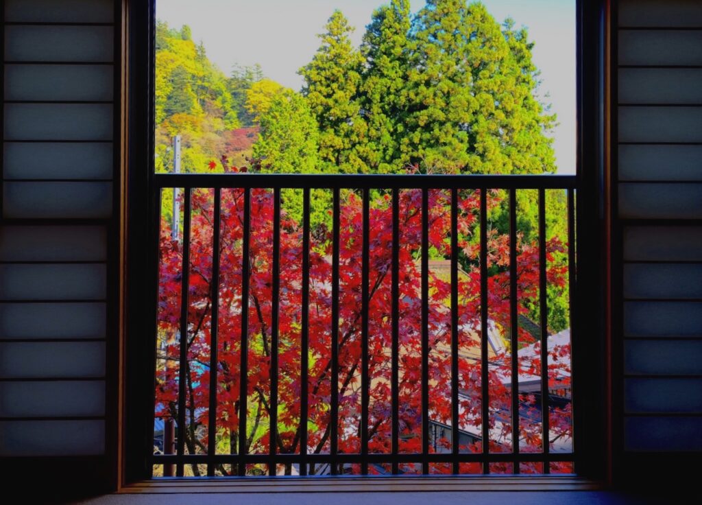 青梅 はらしま荘 窓 眺め 紅葉