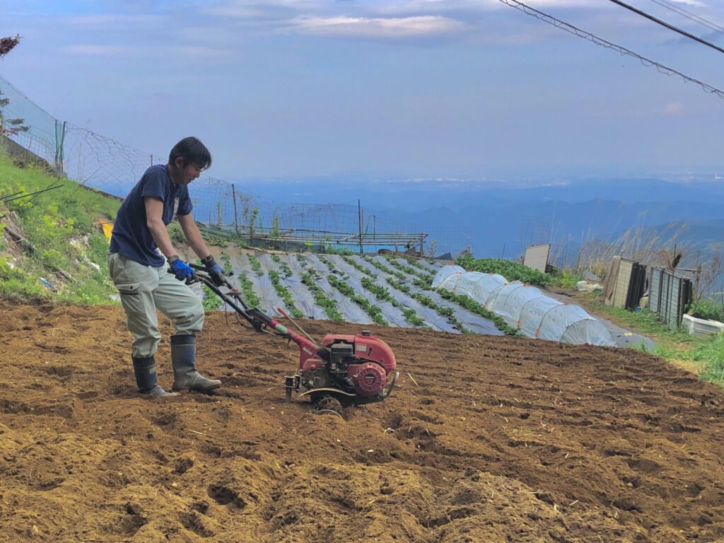 青梅 はらしま荘 畑