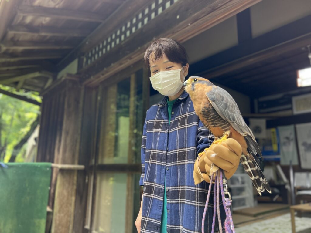 青梅 御岳山 鷹匠 ハヤブサ