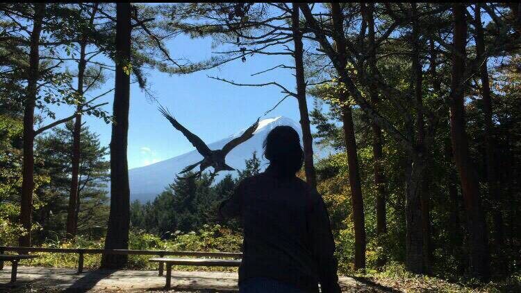 青梅 御岳山 鷹匠