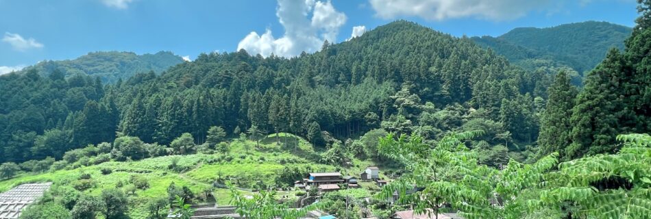 青梅市成木地区の山並み