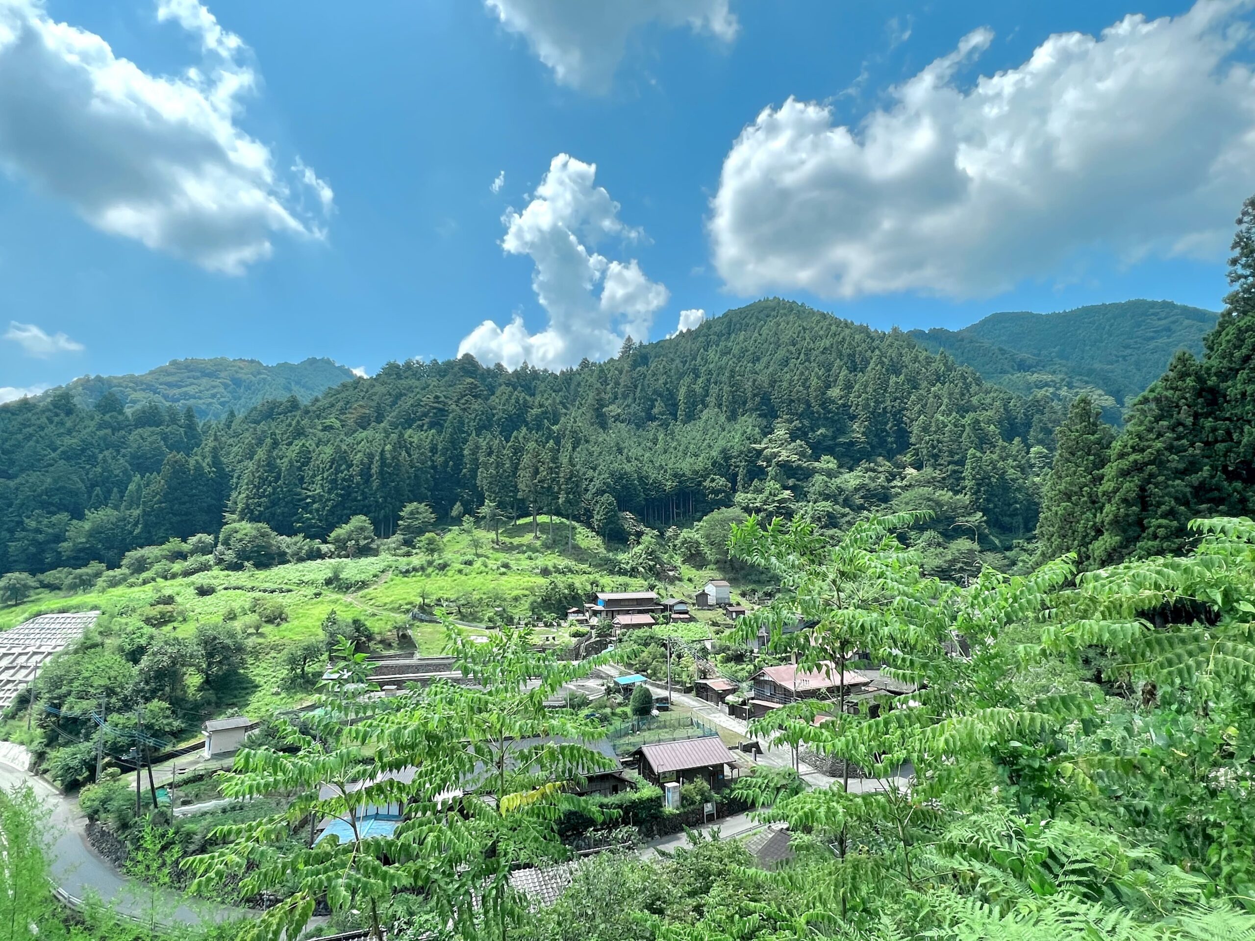 青梅市成木地区の山並み