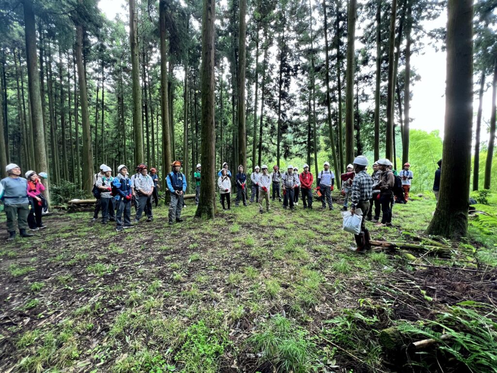 青梅　森林作業道　身近な森を活用する会