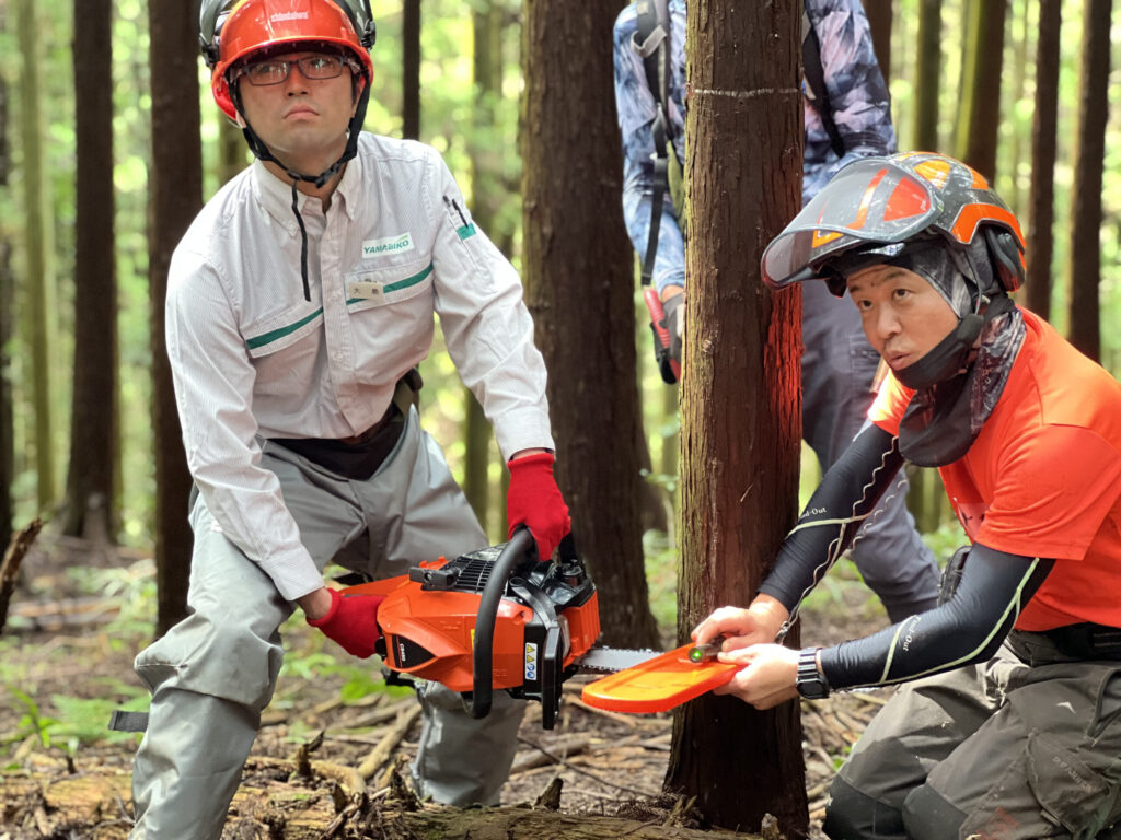 青梅　森林作業道　身近な森を活用する会　伐倒