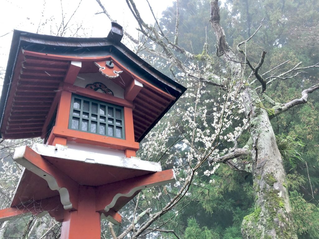御岳山　山楽荘　庭