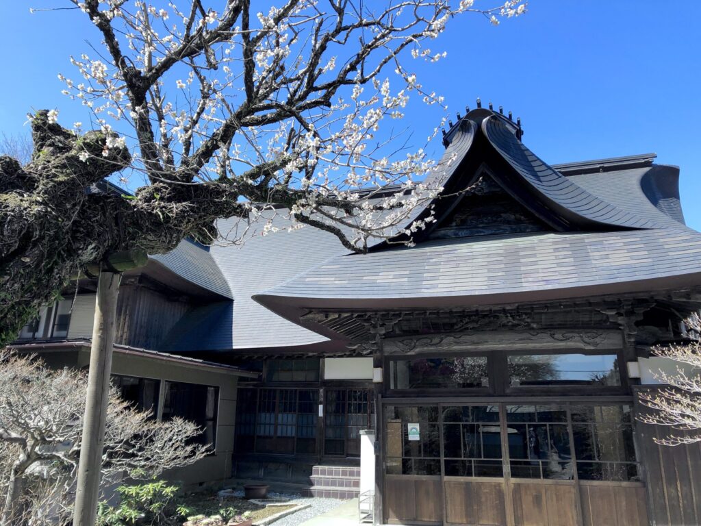 青梅　御岳山　御岳山荘　外観　桜