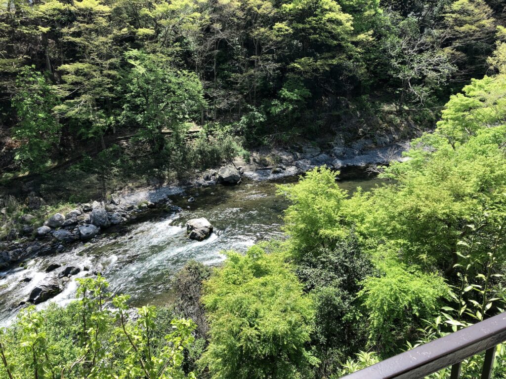 青梅　御岳山　やお九　渓谷
