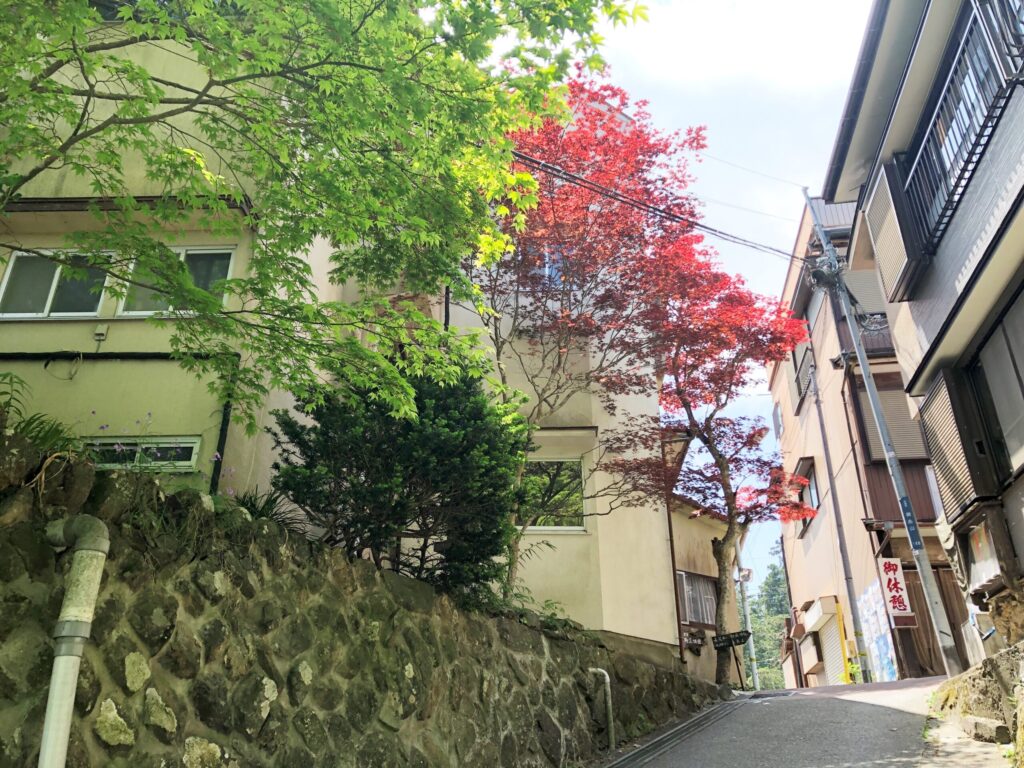 御岳山 町久保田 神代ケヤキ