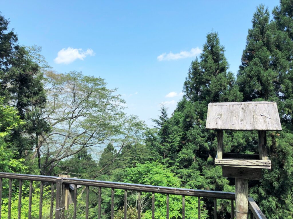 御岳山　能保利　見晴らし