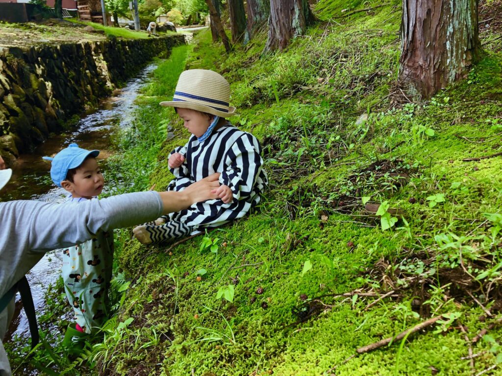 青梅　保育園　かぷかぷ山のようちえん　苔
