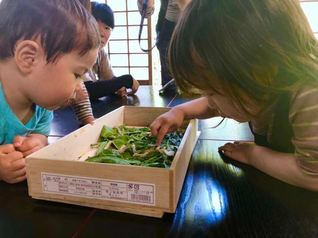 青梅　保育園　かぷかぷ山のようちえん　蚕