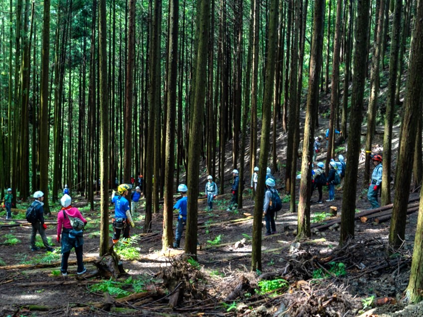 青梅　森林作業道　身近な森を活用する会　実習会場