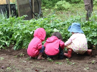 青梅　保育園　かぷかぷ山のようちえん　畑　手入れ