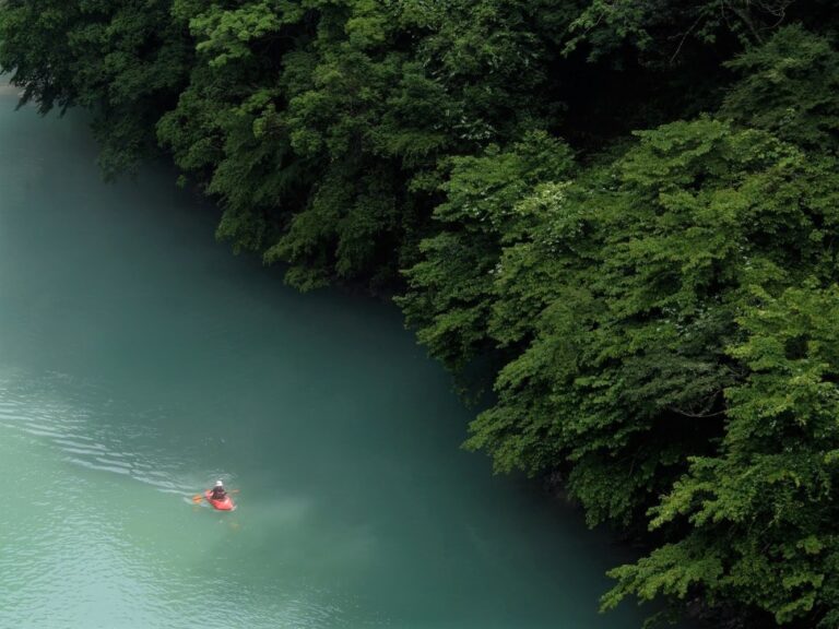 杜人環境再生医イメージ