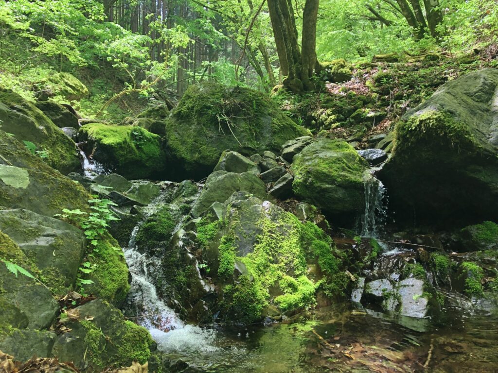 御岳山　ロックガーデンの清流
