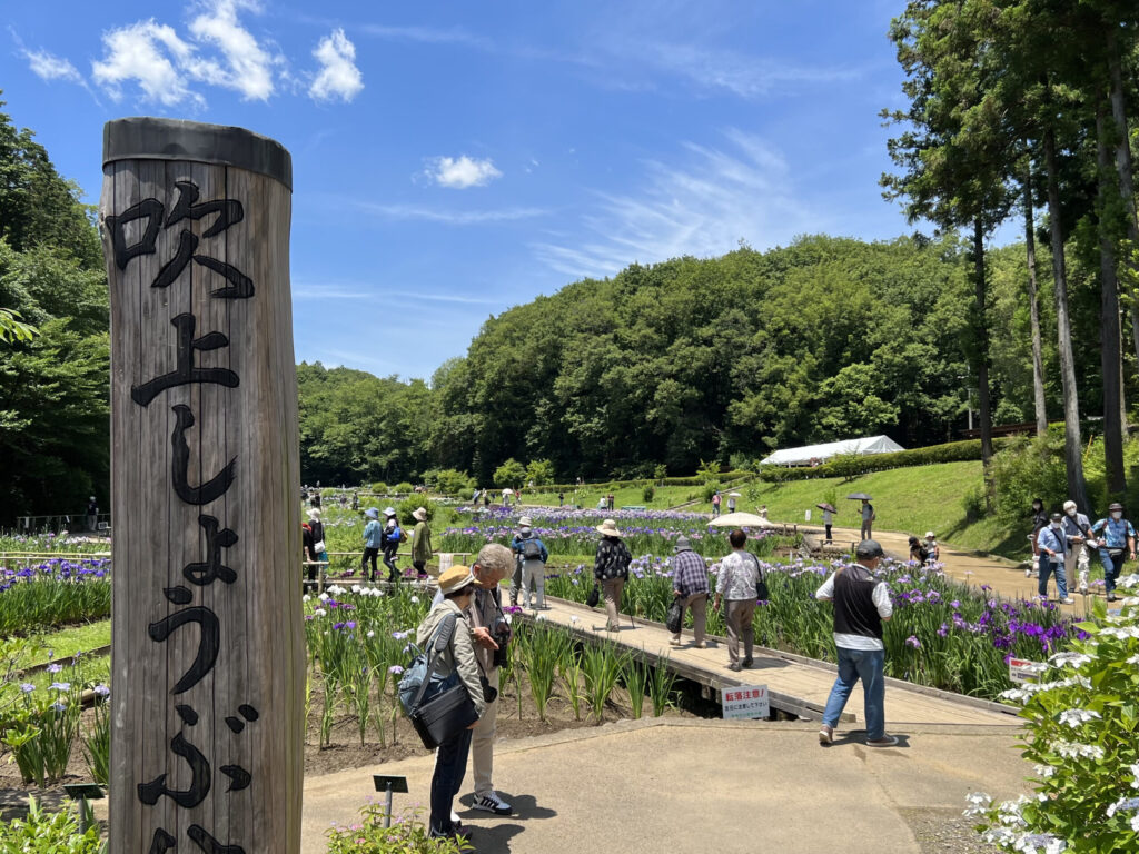 吹上しょうぶ公園1