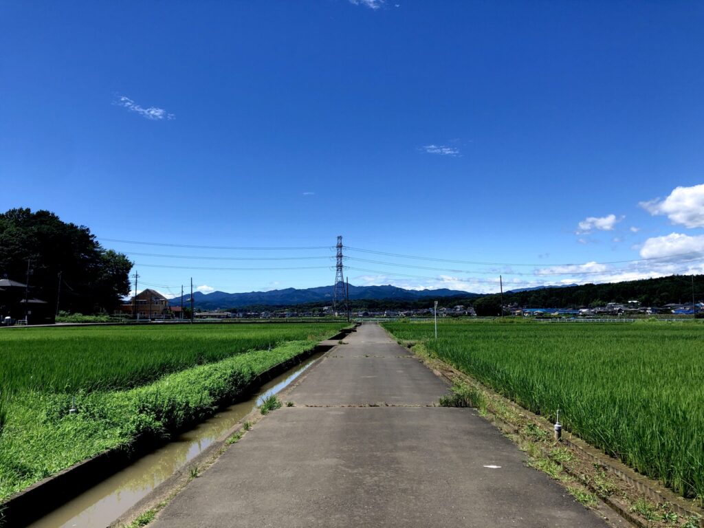 青梅 霞川五反田橋広場 田んぼマルシェ 景色