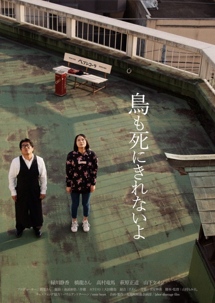 鳥も死にきれないよフライヤー