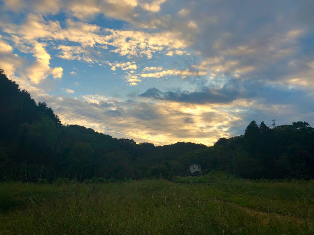 岩藏野菜の農業
