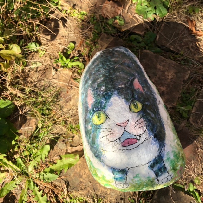 石猫7