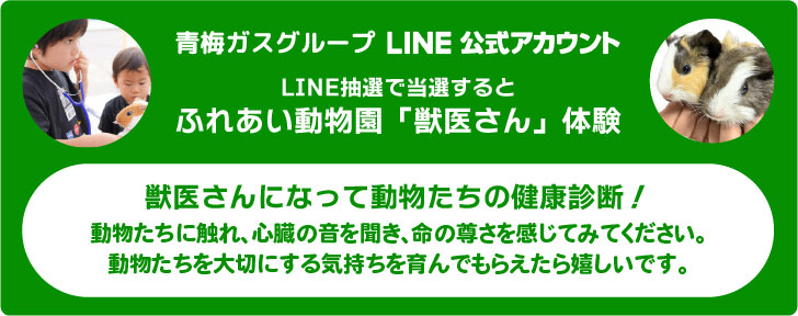 LINE公式アカウント
