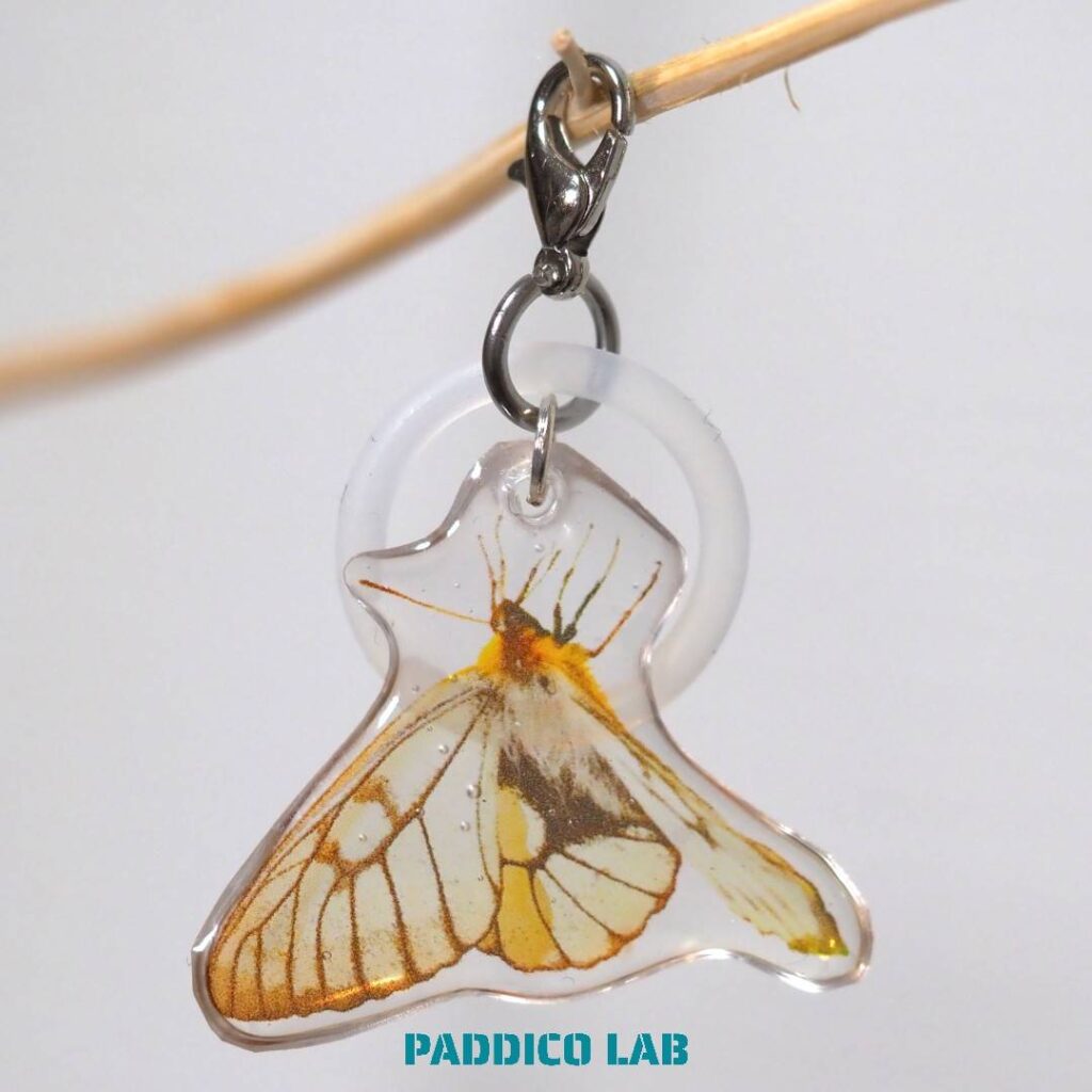 PADDICO　LAB