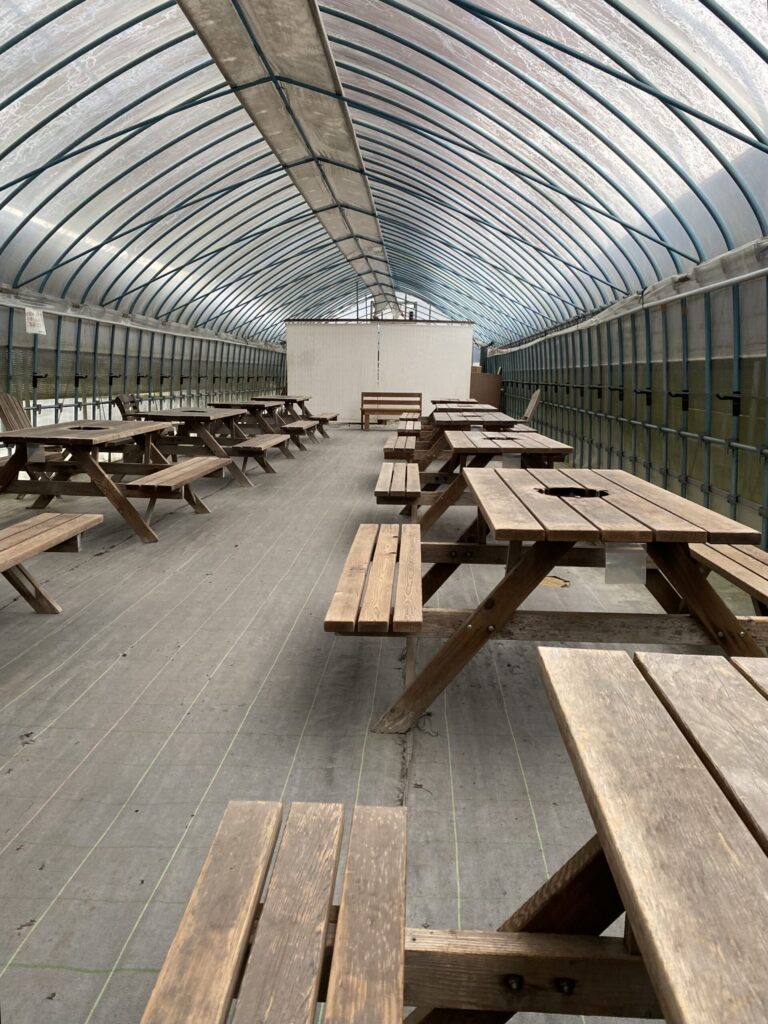 青梅 内沼きのこ園 しいたけもぎ取り 炭火焼き