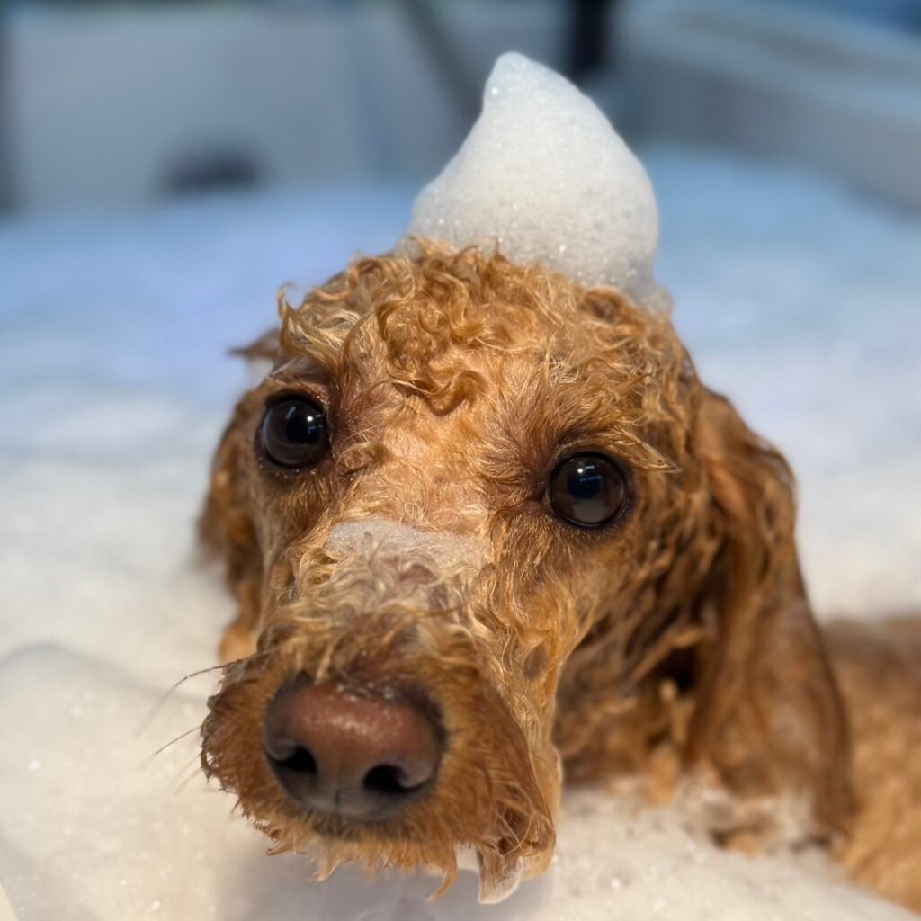 HOMELAND OME 青梅 御嶽駅