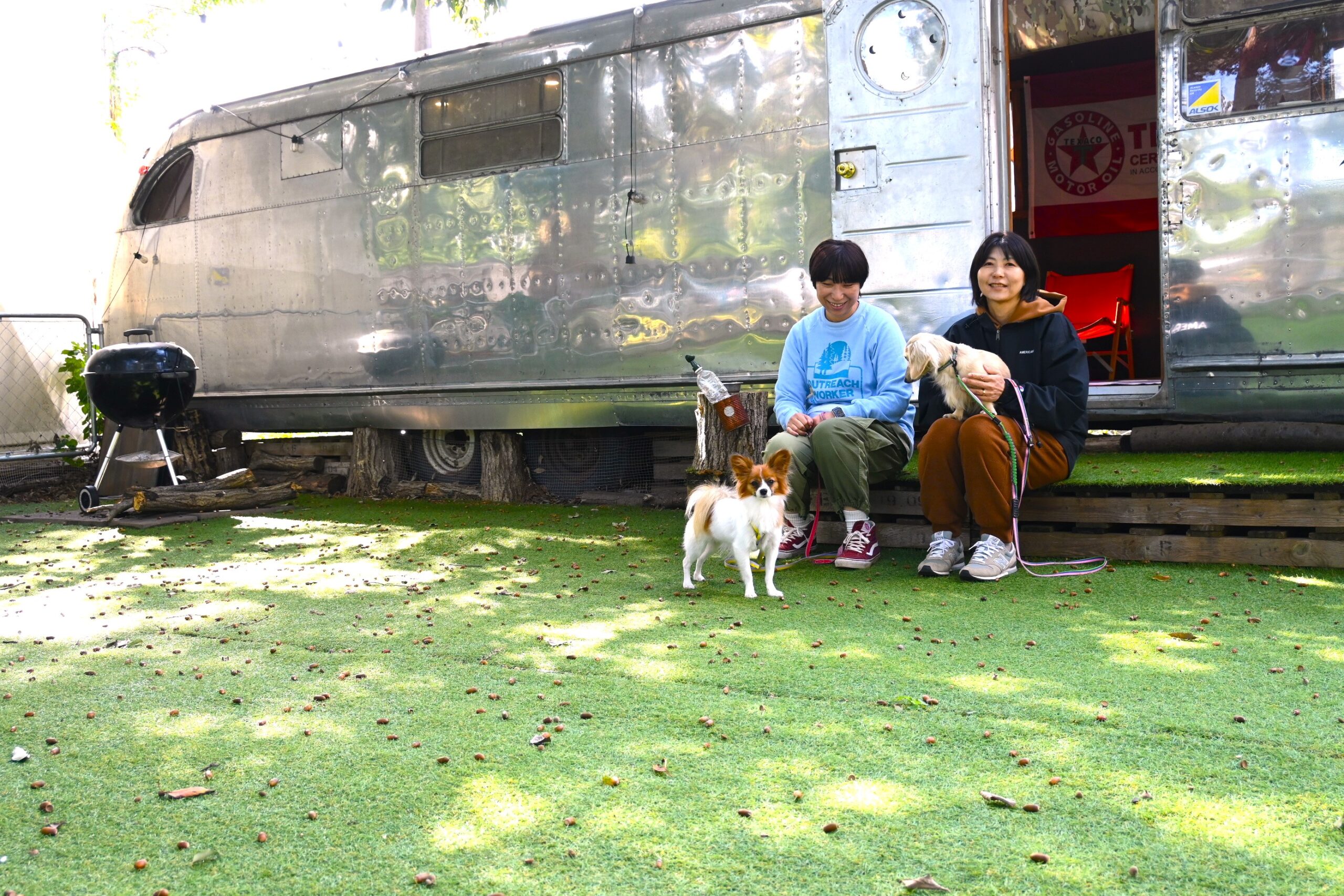 Tokyo Doggies Garden ドッグラン 青梅IC